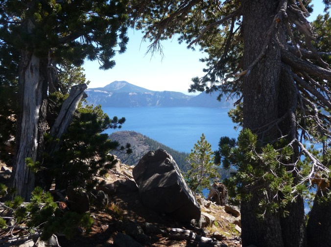 Crater Lake Framed by Trees