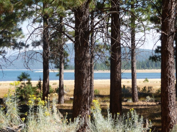 Eagle Lake through Trees