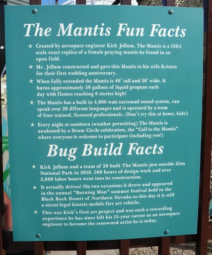 The Mantis Fun Facts