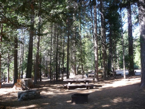 Empty Campsite at Redwood Campground in SNP