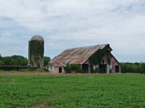 Barn in Spring Hill, TN - No Fence