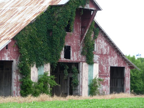 Barn in Spring Hill, TN