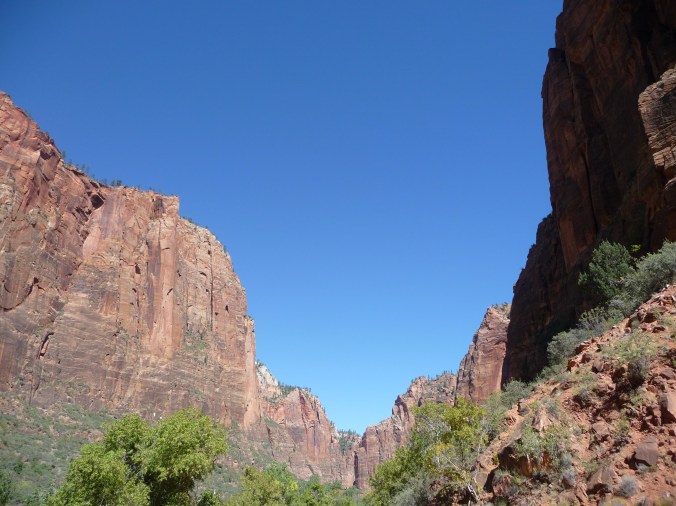 Zion_Canyon View_1