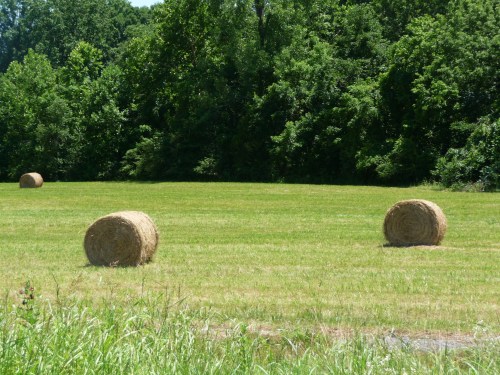 Tennessee_Hay Bales_2