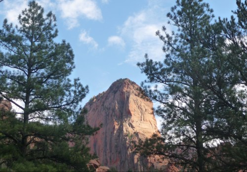 Zion_Taylor Creek Trail_1