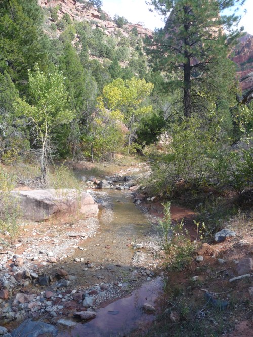 Zion_Taylor Creek Trail_2