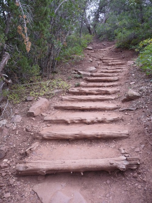 Zion_Taylor Creek Trail_3