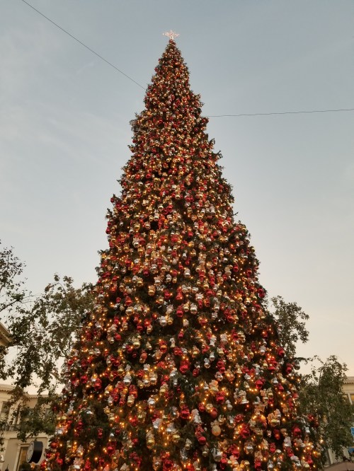 The Grove LA_Christmas Tree_2017