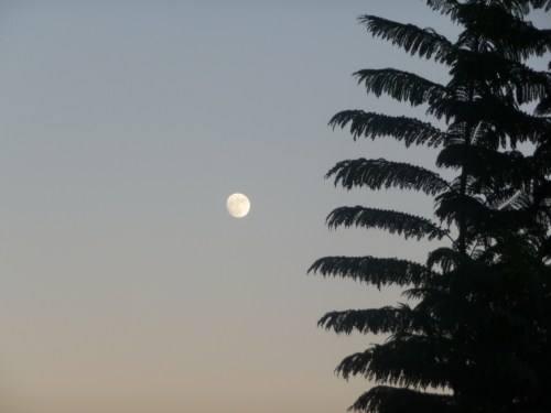 Moon Over So Cal Fire Smoke_2017_12_01