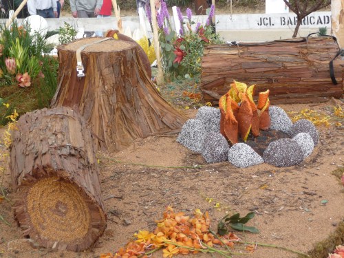 Rose Parade Viewing_Leting Kids Be Kids Float_6