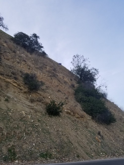 Election Sign on Hillside_1