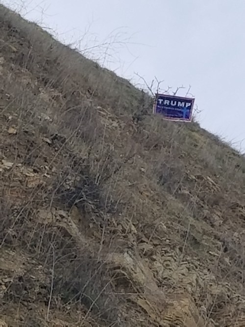 Election Sign on Hillside_1