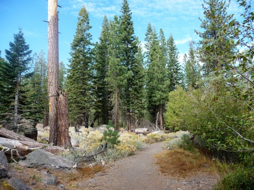 Lassen_Manzanita Lake_Path_2