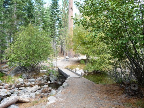 Lassen_Manzanita Lake_Path_3