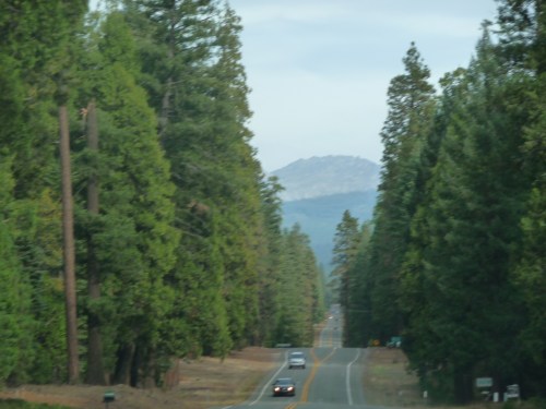 Road to Lassen.JPG