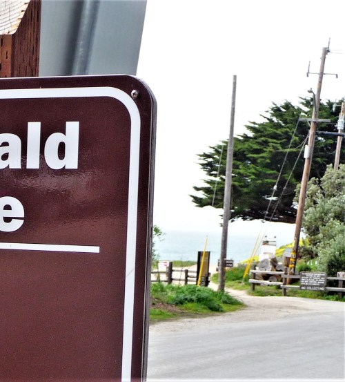 James V. Fitzgerald Marine Reserve_Tidepool Entrance