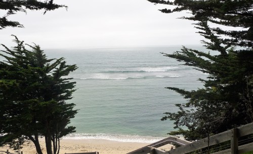 James V. Fitzgerald Marine Reserve_View from Bluff_1