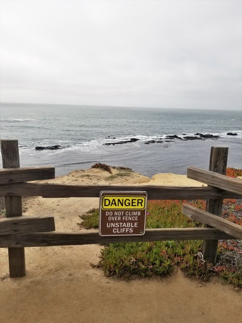 James V. Fitzgerald Marine Reserve_View from Bluff_2