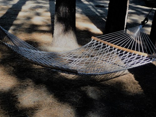 Hammock