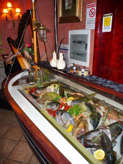 Fish Tank & Live Music