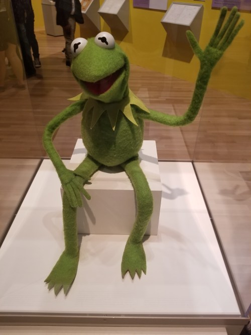 Kermit the Frog_Display Case