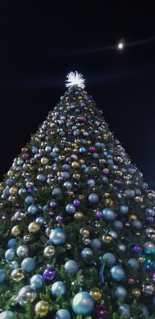 Christmas Tree and Moon