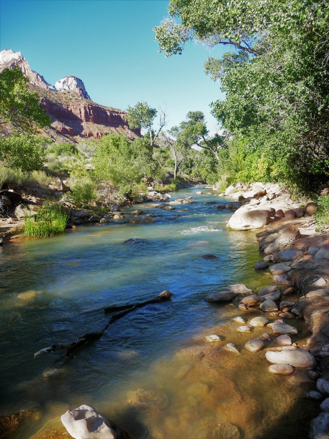Zion_River View