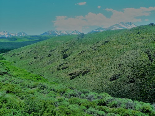 Heart Before The Course